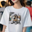 ゴールデンレトリバー Tシャツ レディース 犬ファン 半袖 春夏 犬柄 プリント カジュアル かわいい 人間用 個性派 ここだけのデザイン 面白 ゴールデンレト...