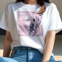 ラブラドールレトリバー Tシャツ レディース 犬ファン 半袖 春夏 犬柄 プリント カジュアル かわいい 人間用 個性派 ここだけのデザイン 面白 ラブラドール...