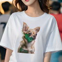 チワワ Tシャツ レディース 犬ファン 半袖 春夏 犬柄 プリント カジュアル かわいい 人間用 個性派 ここだけのデザイン 面白 チワワ