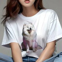 サモエド Tシャツ レディース 犬ファン 半袖 春夏 犬柄 プリント カジュアル かわいい 人間用 個性派 ここだけのデザイン 面白 背景 サモエド