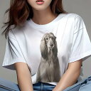 アフガンハウンド Tシャツ レディース 犬ファン 半袖 春夏 犬柄 プリント カジュアル かわいい 人間用 個性派 ここだけのデザイン 面白 メガネ アフガンハ...