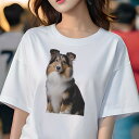 シェットランドシープドッグ Tシャツ レディース 犬ファン 半袖 春夏 犬柄 プリント カジュアル かわいい 人間用 個性派 ここだけのデザイン 面白 シェット...