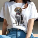 ビーグル Tシャツ レディース 犬ファン 半袖 春夏 犬柄 プリント カジュアル かわいい 人間用 個性派 ここだけのデザイン 面白 蝶ネクタイ ビーグル