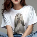アフガンハウンド Tシャツ レディース 犬ファン 半袖 春夏 犬柄 プリント カジュアル かわいい 人間用 個性派 ここだけのデザイン 面白 メガネ アフガンハ...