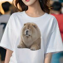 チャウチャウ Tシャツ レディース 犬ファン 半袖 春夏 犬柄 プリント カジュアル かわいい 人間用 個性派 ここだけのデザイン 面白 ふわふわ チャウチャウ...