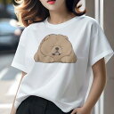 チャウチャウ Tシャツ レディース 犬ファン 半袖 春夏 犬柄 プリント カジュアル かわいい 人間用 個性派 ここだけのデザイン 面白 ふわふわ チャウチャウ...