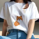 ポメラニアン Tシャツ レディース 犬ファン 半袖 春夏 犬柄 プリント カジュアル かわいい 人間用 個性派 ここだけのデザイン 面白 ポメラニアン