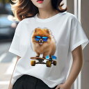 ポメラニアン Tシャツ レディース 犬ファン 半袖 春夏 犬柄 プリント カジュアル かわいい 人間用 個性派 ここだけのデザイン 面白 スケートボード ポメラ...
