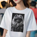 ポメラニアン Tシャツ レディース 犬ファン 半袖 春夏 犬柄 プリント カジュアル かわいい 人間用 個性派 ここだけのデザイン 面白 サングラス ポメラニアン レザージャケット