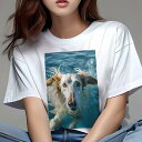 イングリッシュセター Tシャツ レディース 犬ファン 半袖 春夏 犬柄 プリント カジュアル かわいい 人間用 個性派 ここだけのデザイン 面白 水 イングリッシュセター 水しぶき