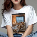 柴犬 Tシャツ レディース 犬ファン 半袖 春夏 犬柄 プリント カジュアル かわいい 人間用 個性派 ここだけのデザイン 面白 暖炉 柴犬 ブランケット