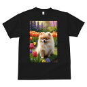 ポメラニアン Tシャツ メンズ キッズ 犬ファン 半袖 春夏 犬柄 プリント カジュアル かわいい 人間用 個性派 ここだけのデザイン 面白 チューリップ ポメラニアン 花 春 庭