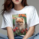 ポメラニアン Tシャツ レディース 犬ファン 半袖 春夏 犬柄 プリント カジュアル かわいい 人間用 個性派 ここだけのデザイン 面白 チューリップ ポメラニアン 花 庭 春