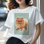 ポメラニアン Tシャツ レディース 犬ファン 半袖 春夏 犬柄 プリント カジュアル かわいい 人間用 個性..