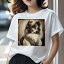 ポメラニアン Tシャツ レディース 犬ファン 半袖 春夏 犬柄 プリント カジュアル かわいい 人間用 個性..
