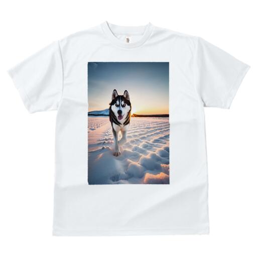 シベリアンハスキー Tシャツ メンズ キッズ 犬ファン 半袖 春夏 犬柄 プリント カジュアル かわいい 人間用 個性派 ここだけのデザイン 面白 雪 シベリアンハスキー 冬 夕焼け 風景