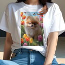 ポメラニアン Tシャツ レディース 犬ファン 半袖 春夏 犬柄 プリント カジュアル かわいい 人間用 個性派 ここだけのデザイン 面白 チューリップ ポメラニアン 花 春 蝶