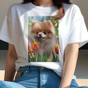 ポメラニアン Tシャツ レディース 犬ファン 半袖 春夏 犬柄 プリント カジュアル かわいい 人間用 個性派 ここだけのデザイン 面白 花 ポメラニアン チューリップ 蝶 春