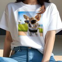 Tシャツ レディース 犬ファン 半袖 春夏 プリント カジュアル かわいい 人間用 フィットネス サングラス チワワ 芝生 ビーチ