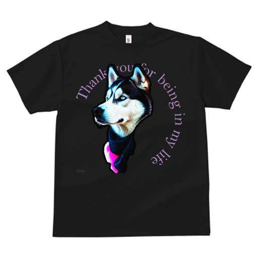 Tシャツ レディース 犬ファン 半袖 春夏 プリント カジュアル かわいい 人間用 フィットネス スカーフ シベリアンハスキー