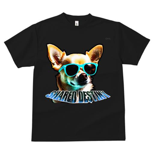 Tシャツ レディース 犬ファン 半袖 春夏 プリント カジュアル かわいい 人間用 フィットネス サングラス チワワ グラデーションテキスト 青いサングラス