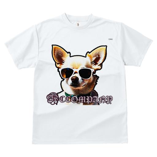 Tシャツ レディース 犬ファン 半袖 春夏 プリント カジュアル かわいい 人間用 フィットネス サングラス チワワ