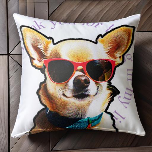 サングラス チワワ 感謝 カラフルな首輪 クッションカバー 45×45cm アニマル柄 おしゃれ 可愛い クッション本体付き 正方形