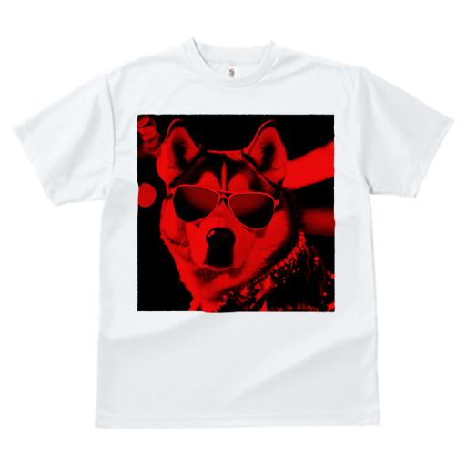 Tシャツ レディース 犬ファン 半袖 春夏 プリント カジュアル かわいい 人間用 フィットネス サングラス シベリアンハスキー スタッズ 赤いフィルター