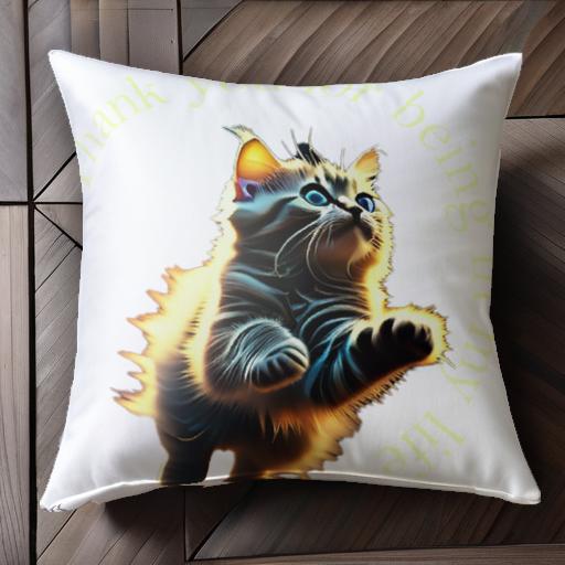 猫 その他 かわいい 感謝 アート 光 クッションカバー 45×45cm アニマル柄 おしゃれ 可愛い クッション本体付き 正方形