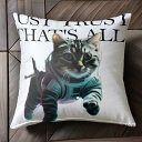 宇宙服 その他 猫 宇宙 クッションカバー 45×45cm アニマル柄 おしゃれ 可愛い クッション本体付き 正方形