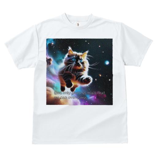 Tシャツ レディース 犬ファン 半袖 春夏 プリント カジュアル かわいい 人間用 フィットネス 宇宙 猫 星 ファンタジー