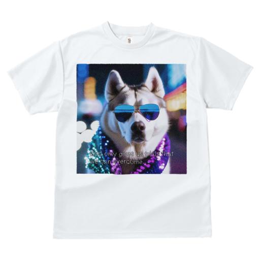 Tシャツ レディース 犬ファン 半袖 春夏 プリント カジュアル かわいい 人間用 フィットネス サングラス シベリアンハスキー 夜景 スカーフ