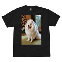 Tシャツ メンズ キッズ 犬ファン 半袖 春夏 プリント カジュアル かわいい 人間用 フィットネス クリスマスツリー サモエド