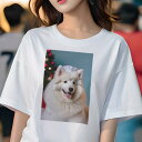 Tシャツ レディース 犬ファン 半袖 春夏 プリント カジュアル かわいい 人間用 フィットネス クリスマスツリー サモエド 帽子