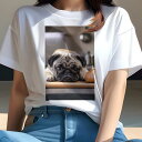 Tシャツ レディース 犬ファン 半袖 春夏 プリント カジュアル かわいい 人間用 フィットネス パン パグ(4)