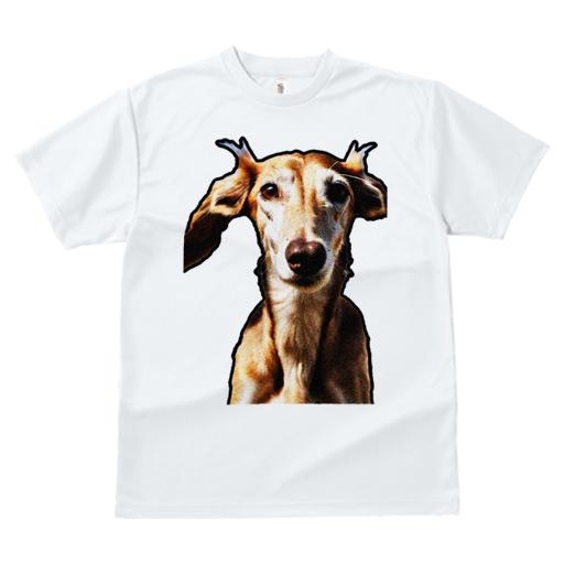 Tシャツ レディース 犬ファン 半袖 春夏 プリント カジュアル かわいい 人間用 フィットネス サルーキ