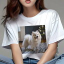 Tシャツ レディース 犬ファン 半袖 春夏 プリント カジュアル かわいい 人間用 フィットネス クリスマスツリー スピッツ 絨毯