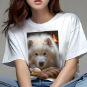 Tシャツ レディース 犬ファン 半袖 春夏 プリント カジュアル かわいい 人間用 フィットネス パン サモエド(4)