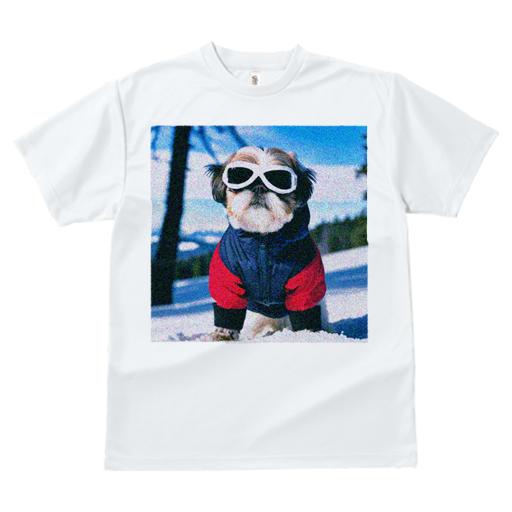 Tシャツ レディース 犬ファン 半袖 春夏 プリント カジュアル かわいい 人間用 フィットネス 雪 シーズー 冬 スキーウェア ゴーグル