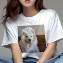 Tシャツ レディース 犬ファン 半袖 春夏 プリント カジュアル かわいい 人間用 フィットネス コック帽 サモエド コックコート