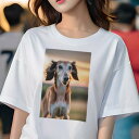 Tシャツ レディース 犬ファン 半袖 春夏 プリント カジュアル かわいい 人間用 フィットネス 夕焼け サルーキ 草原(4)