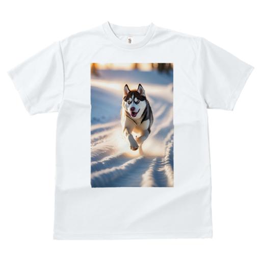 Tシャツ レディース 犬ファン 半袖 春夏 プリント カジュアル かわいい 人間用 フィットネス 雪 シベリアンハスキー 冬 雪道 太陽