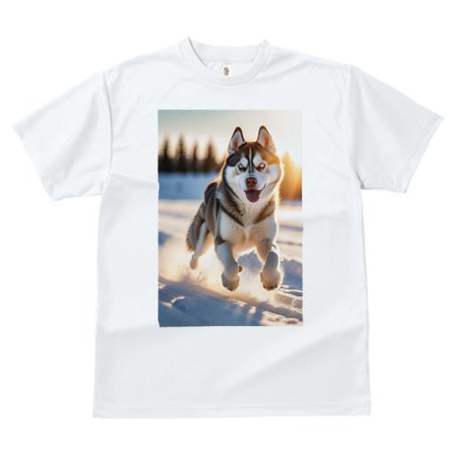 Tシャツ レディース 犬ファン 半袖 春夏 プリント カジュアル かわいい 人間用 フィットネス 雪 シベリアンハスキー 冬 太陽