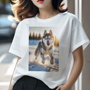 Tシャツ レディース 犬ファン 半袖 春夏 プリント カジュアル かわいい 人間用 フィットネス 雪 シベリアンハスキー 冬 太陽(4)