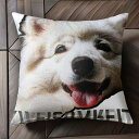 サモエド クッションカバー 45×45cm アニマル柄 おしゃれ 可愛い クッション本体付き 正方形