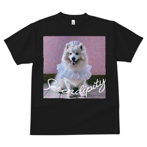 Tシャツ レディース 犬ファン 半袖 春夏 プリント カジュアル かわいい 人間用 フィットネス サモエド