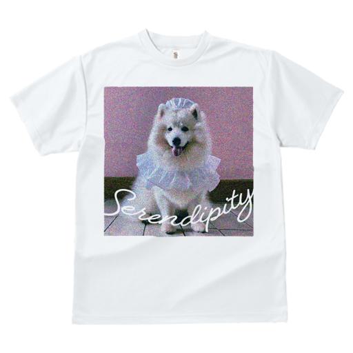 Tシャツ レディース 犬ファン 半袖 春夏 プリント カジュアル かわいい 人間用 フィットネス サモエド