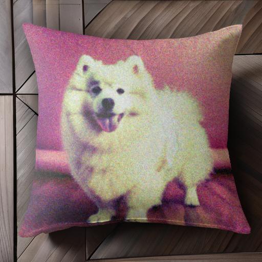 アメリカンエスキモードッグ クッションカバー 45×45cm アニマル柄 おしゃれ 可愛い クッション本体付き 正方形