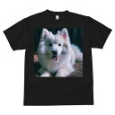 Tシャツ メンズ キッズ 犬ファン 半袖 春夏 プリント カジュアル かわいい 人間用 フィットネス アメリカンエスキモードッグ(4)