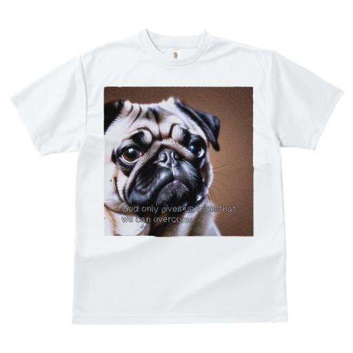 Tシャツ レディース 犬ファン 半袖 春夏 プリント カジュアル かわいい 人間用 フィットネス パグ